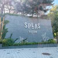 ⭐️덕산온천 : 아이랑 가기 좋은 “스플라스 리솜”⭐️
