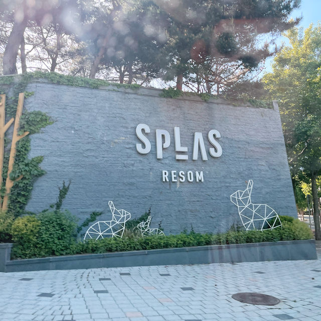 ⭐️덕산온천 : 아이랑 가기 좋은 “스플라스 리솜”⭐️