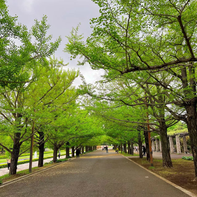 「羊山公園：絢麗花海，白日夜晚皆美」