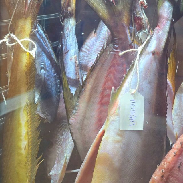 อาหารญี่ปุ่น Chimu Sushi