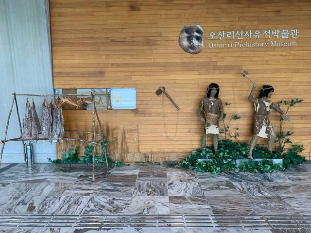 "오산리 선사유적 박물관: 선사시대의 보물을 엿보는 여정"