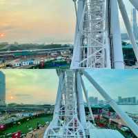 Ferris wheel adventures at sunset, best bet yet! 🌇🎡