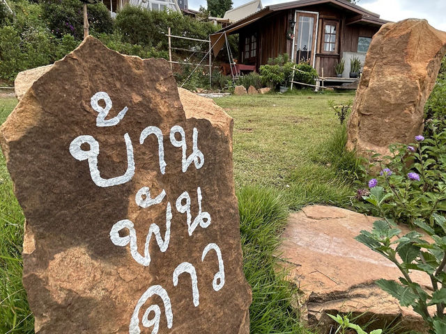 📍ลานพันดาว แคมป์ปิ้ง จ.เลย 