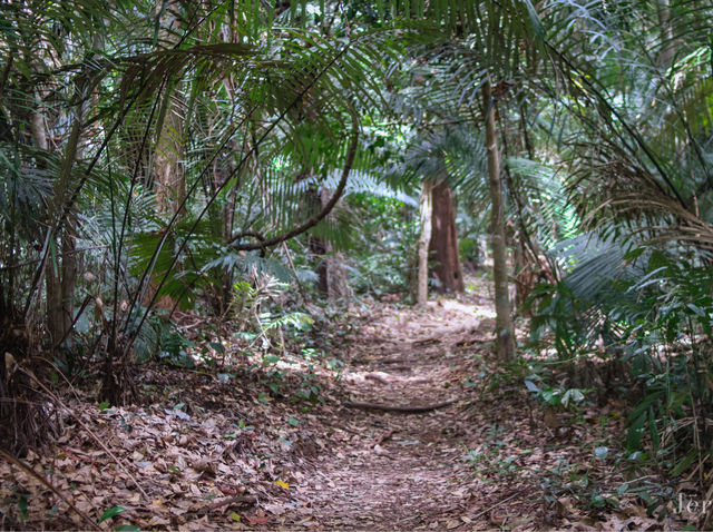 รีวิว อุทยานแห่งชาติเฉลิมรัตนโกสินทร์