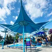 Captivating Fun: Dreamland Delights in Dreamworld, Queensland 🇦🇺