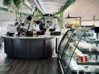See Stars & Forest Cafe คาเฟ่เครื่องบินสกลนคร