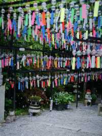 無料かよ‼️13,000個の風鈴がお出迎え✨✨映えに気合い入ってる風鈴寺🎐