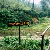 น้ำตกรูปหัวใจ เปรโต้ะลอซู🌳🌩️