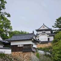 【岡山】備中松山城