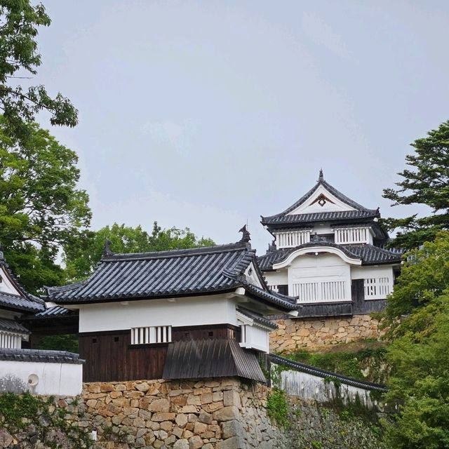 【岡山】備中松山城