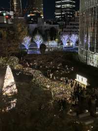 〜東京都〜絶景DIORガーデンドリームズ
