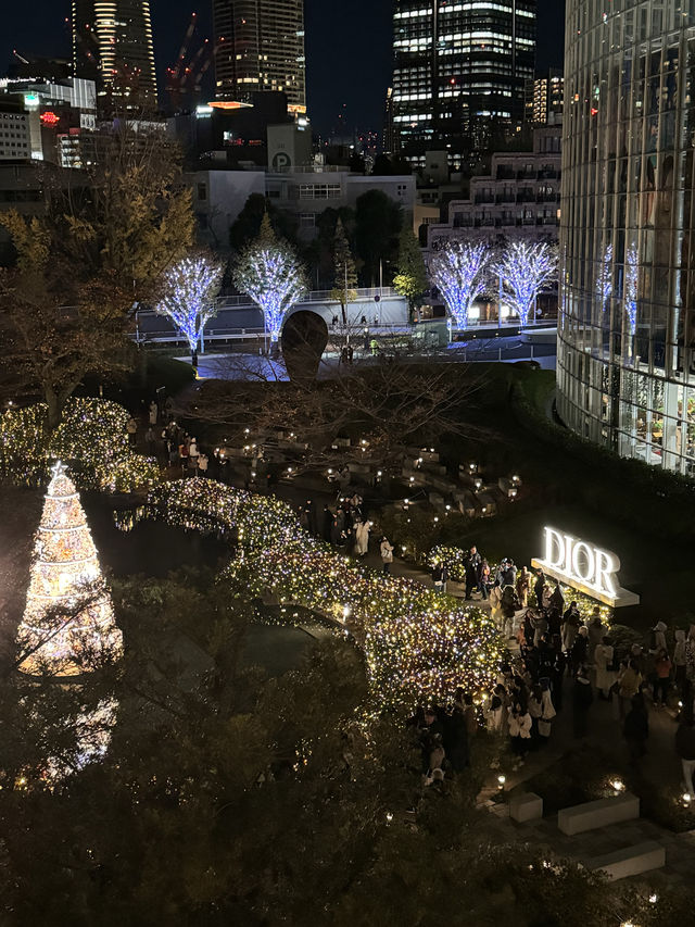 〜東京都〜絶景DIORガーデンドリームズ