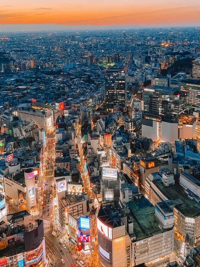 Up, Up, and Away: My Shibuya Sky Experience!