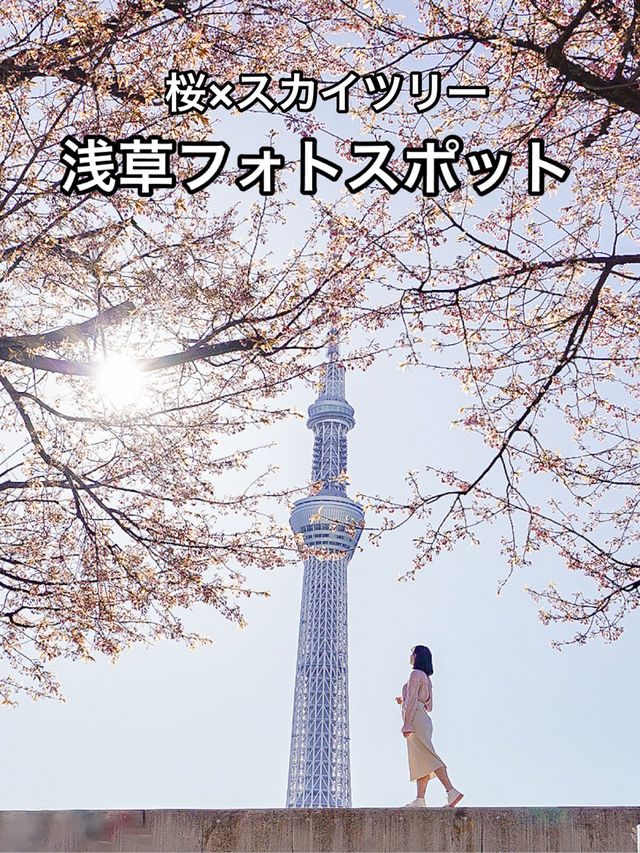📍隅田公園