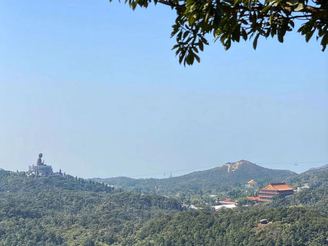 【香港】挑戰與美景並存！徒步鳳凰山，俯瞰大佛，機場和城市。適合任何時間和場景