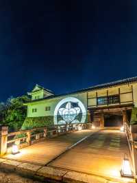 〜滋賀県〜彦根城ライトアップ✨花に包まれるpjマッピング