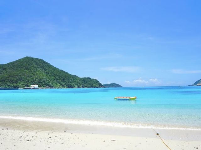 【渡嘉敷島】鮮やかすぎる！！絶景の慶良間ブルー💙