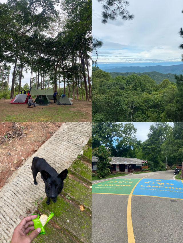 ฤดูฝนที่ดอยขุนตาล | ลำพูน 🏕️🌳🌦️🌿