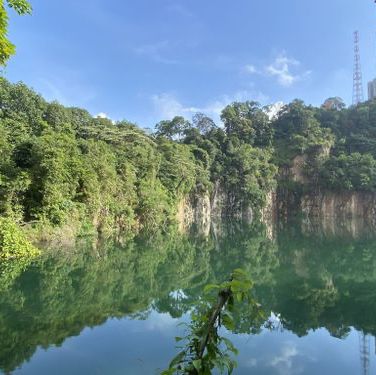 Explore & Hike 🇸🇬 Tallest Hill in Bukit Timah 