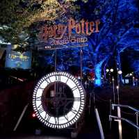 Harry potter experience