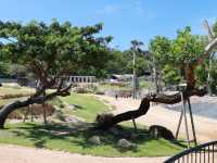 Huahinsafari & Adventure Park