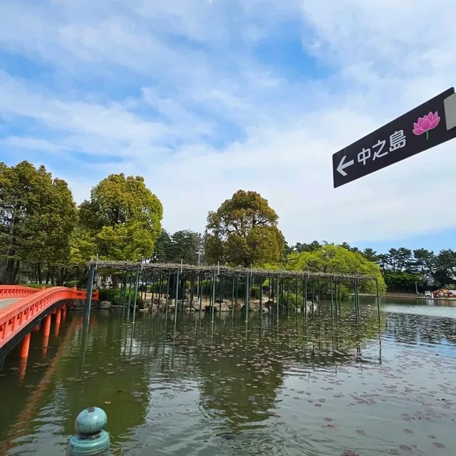 初夏必訪紫藤花季〔天王川公園〕