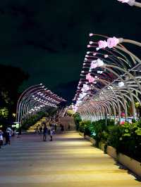Sentosa Sensoryscape Light Show