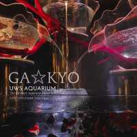 ไปเที่ยว UWS AQUARIUM GA☆KYO ที่ญี่ปุ่นกัน