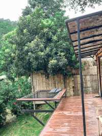 🌿Stay Wild & Café ที่พักและคาเฟ่ริมลำธารเชียงใหม่