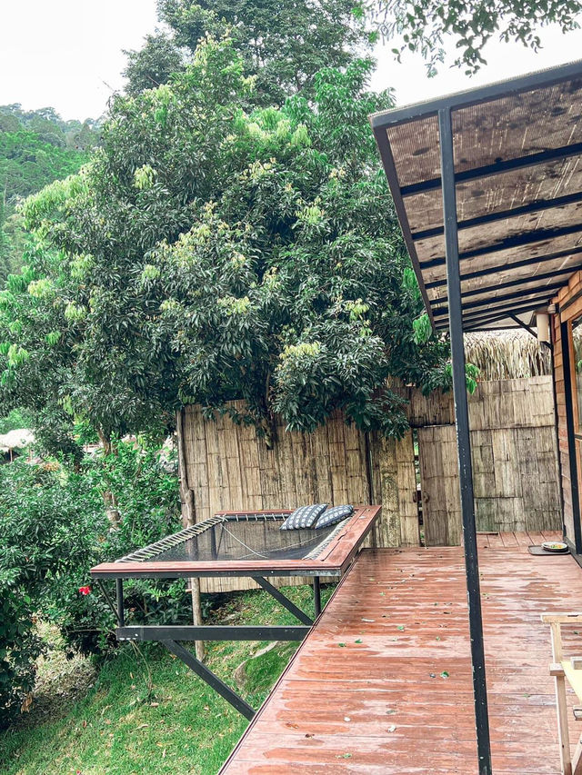 🌿Stay Wild & Café ที่พักและคาเฟ่ริมลำธารเชียงใหม่