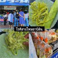 ตะลุยกินอยุธยาตั้งแต่เช้าจนค่ำ