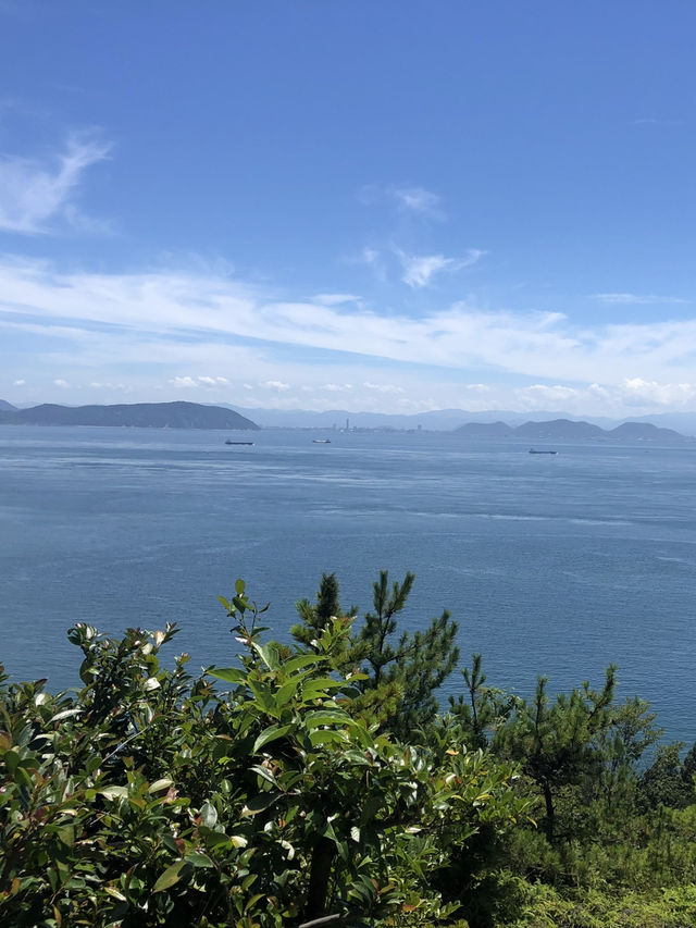 【香川県:直島】行ってよかった！アートな島「直島」