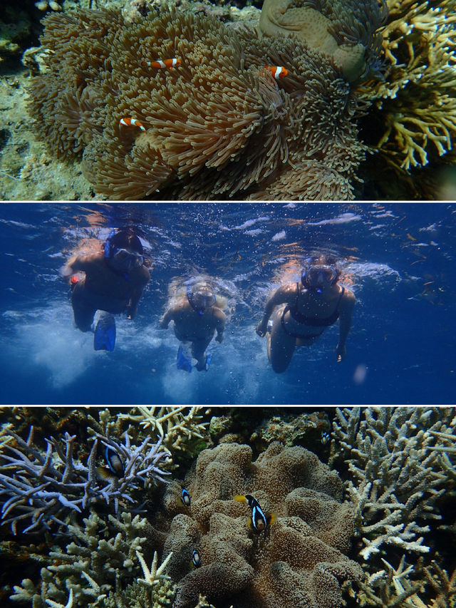 Snorkelling Trip in Karimunjawa, Indonesia 🇮🇩