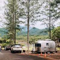 Phupha Coffee Camp
