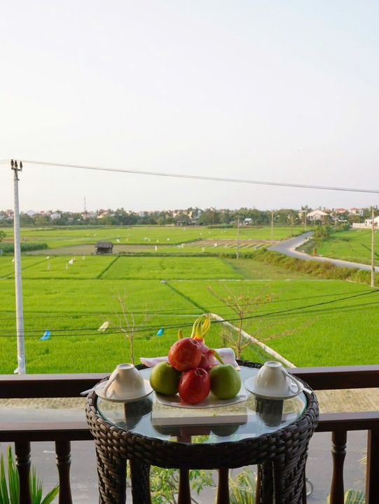 Rice Field View at Hoi An Field Boutique