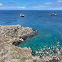Ecuador – Wildlife Wonderland