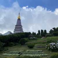 Chiang Mai: Fulfilling Heart and Stomach