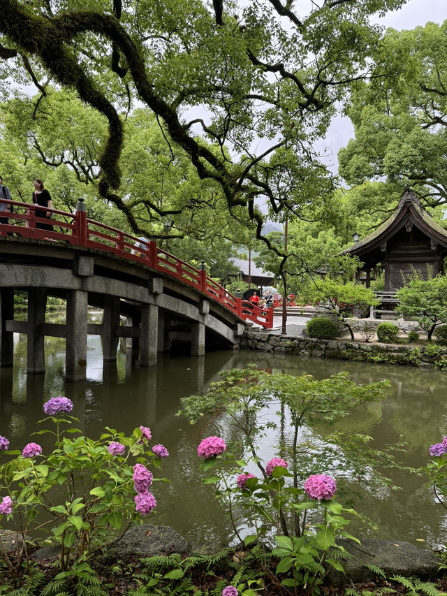 【福岡観光】124年ぶりの大改修✨️森の仮殿🌳