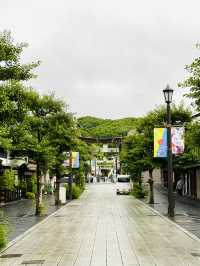 【福岡観光】124年ぶりの大改修✨️森の仮殿🌳