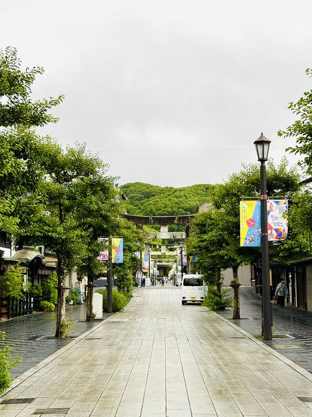 【福岡観光】124年ぶりの大改修✨️森の仮殿🌳