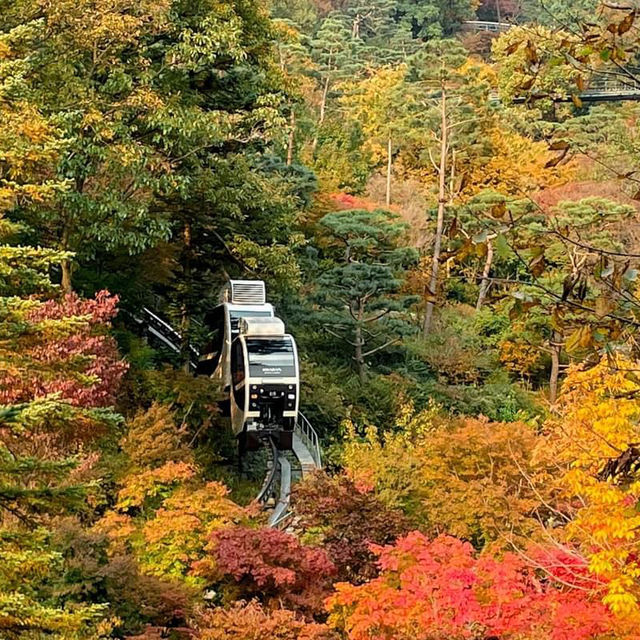 Hwadam Botanical Garden - South Korea
