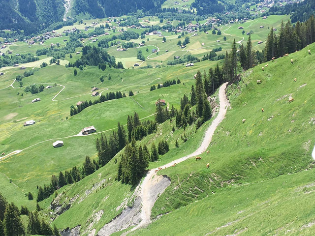 พาขึ้นยอดเขา🏔️ Grindelwald First 