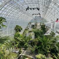 Myriad Botanical Gardens