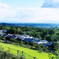 奈良春日大社、若草山、猿沢池