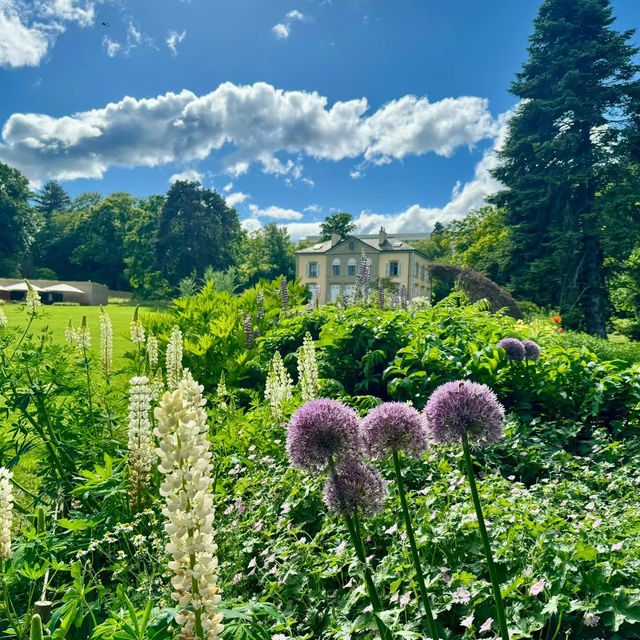 南丫公園：鳥語花香的城市綠地🌸🐦🌳