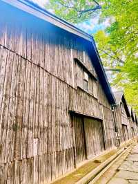 【日本東北】山居倉庫：江戶時代倉庫群和古老的櫸樹林