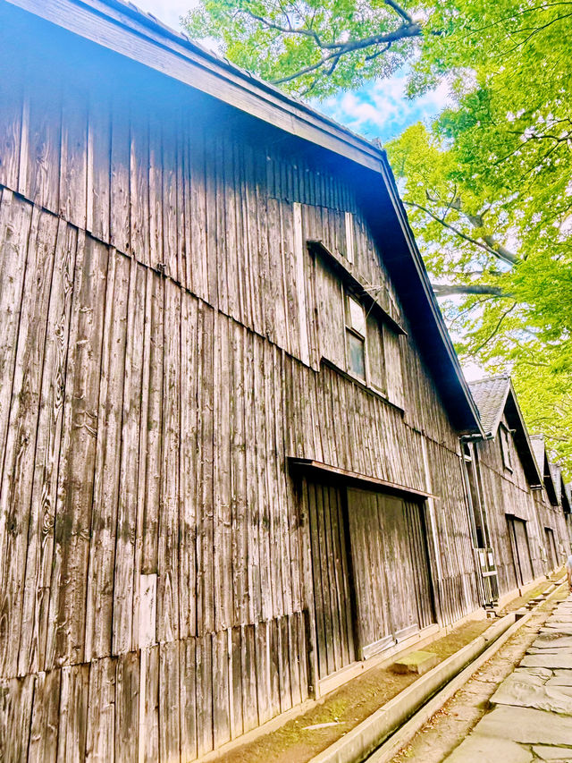 【日本東北】山居倉庫：江戶時代倉庫群和古老的櫸樹林