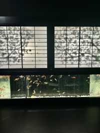 金魚のアートアクアリウム in銀座°･🐟