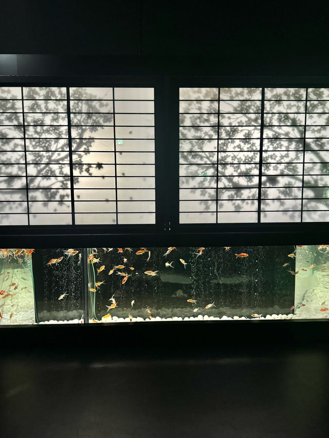 金魚のアートアクアリウム in銀座°･🐟