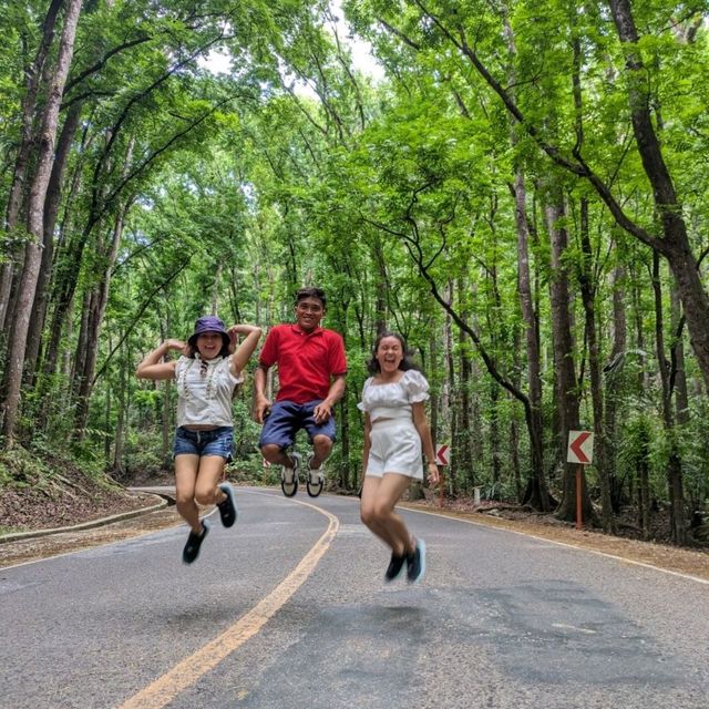 Bohol Moment 